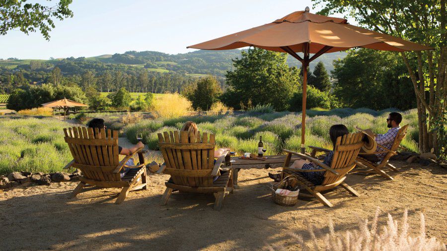 matanzas creek outside tasting with a view of the vineyard